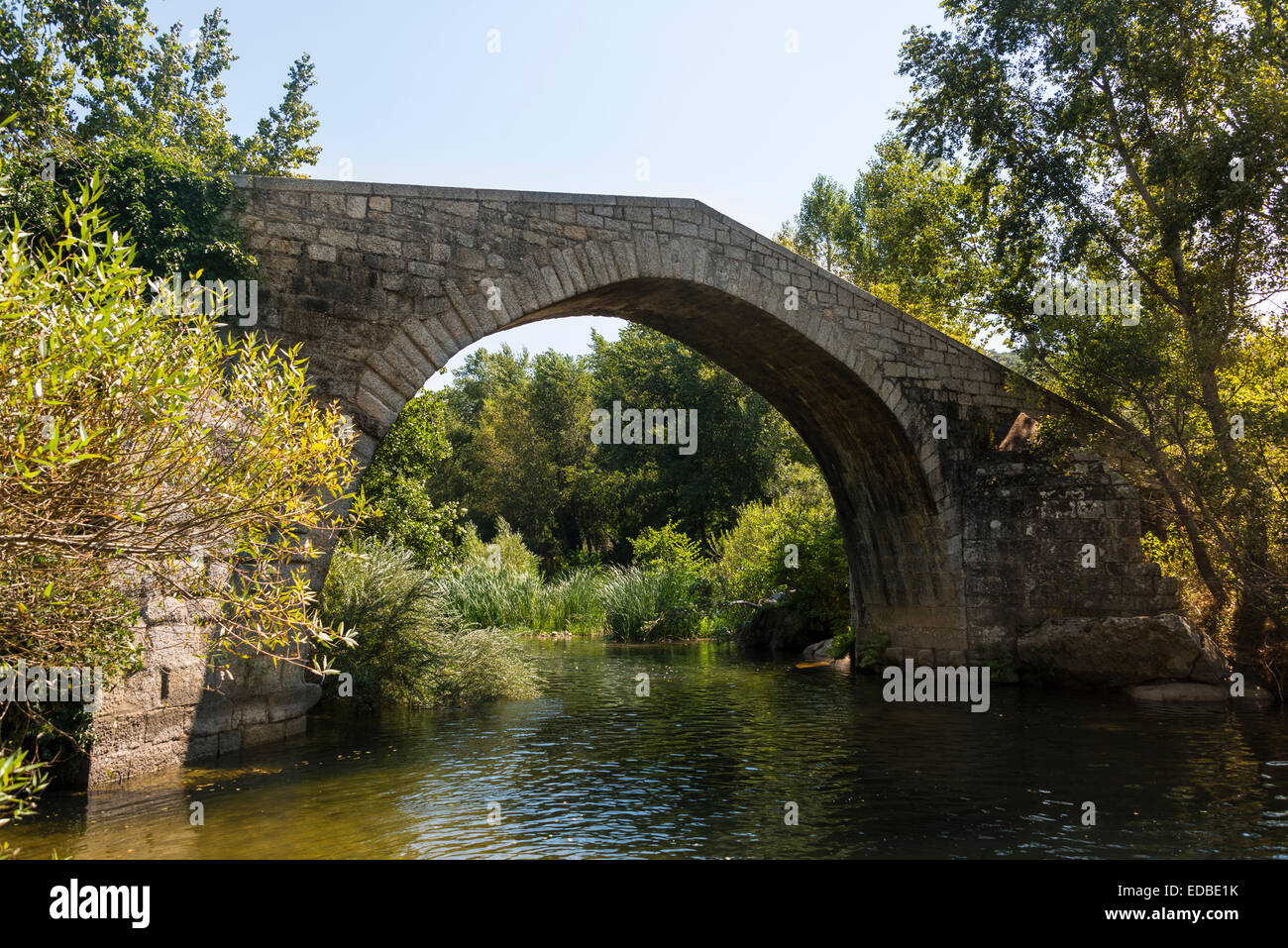 Spin'a Cavallu, pont génois, vallée de la Rizzanese, près de Sartène, Corse-du-Sud, Corse, France Banque D'Images