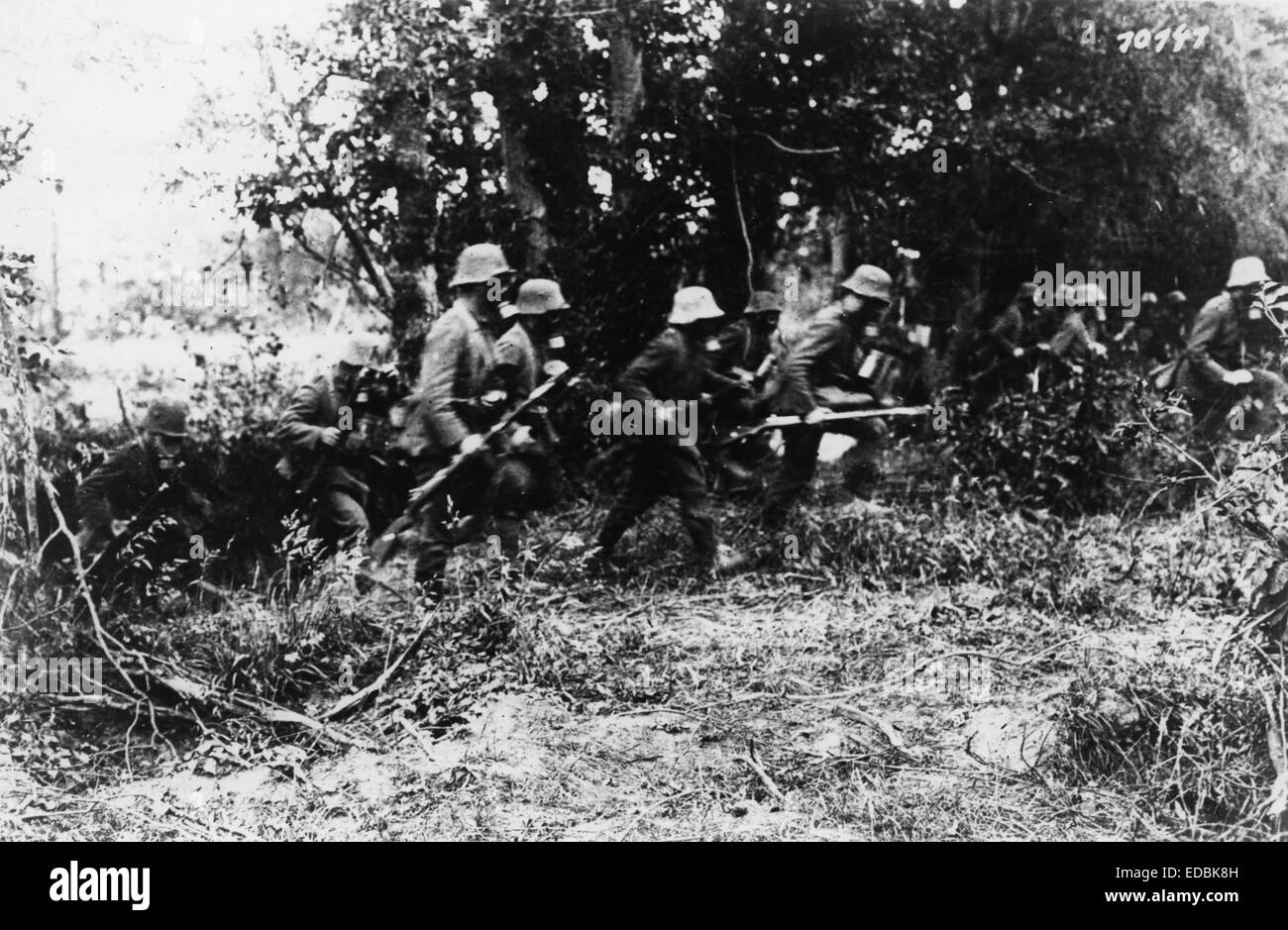 Front de l'Ouest, Allemagne - France, 1916. Banque D'Images