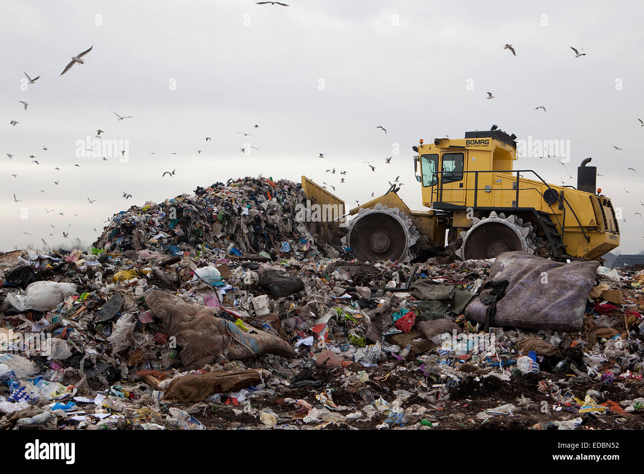 Un bulldozer piles déchets dans un site d'enfouissement près de Cambridge. Banque D'Images