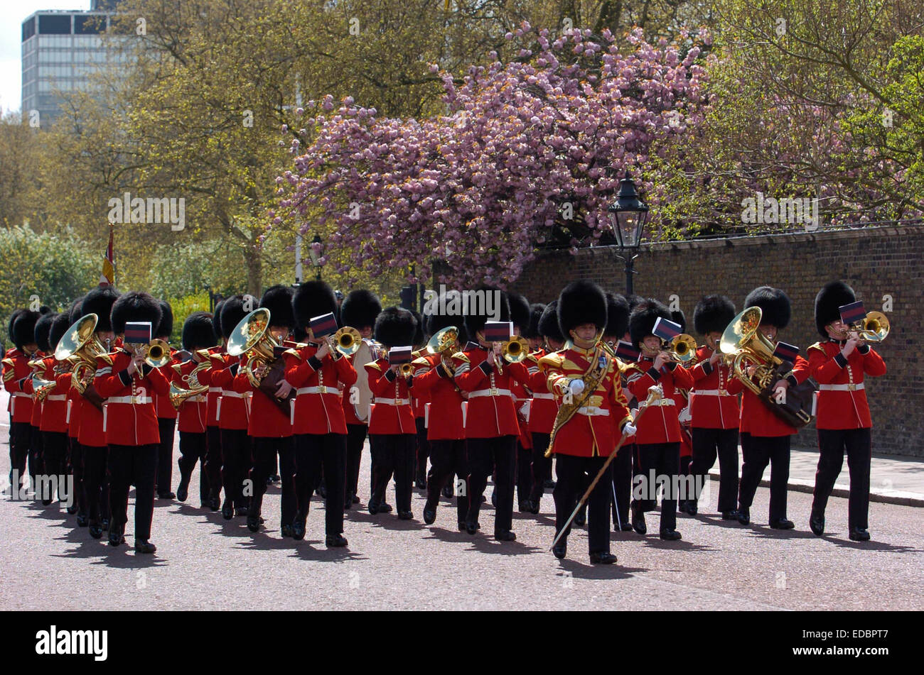 Relève de la garde à Buckingham Palace à Londres Banque D'Images