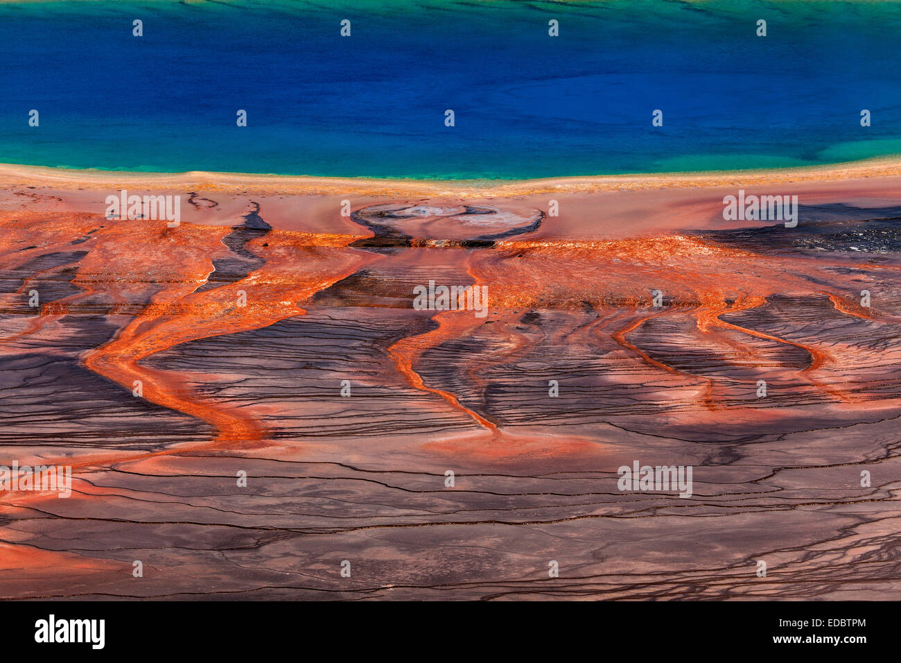 Grand Prismatic Spring, Midway Geyser Basin, Parc National de Yellowstone, Wyoming, United States Banque D'Images