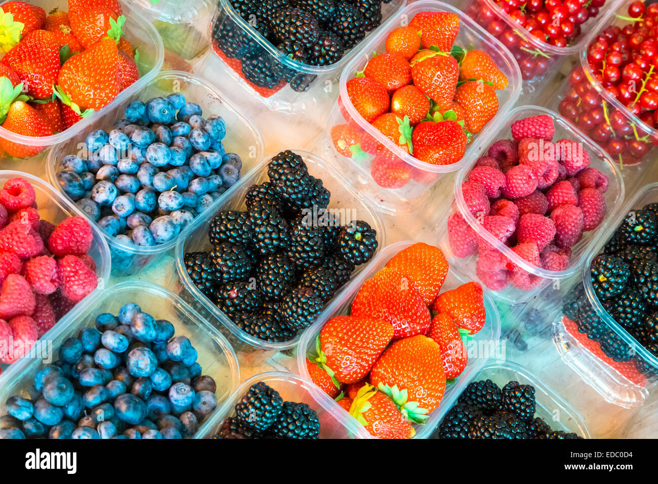 Les petits fruits en boîtes. Banque D'Images