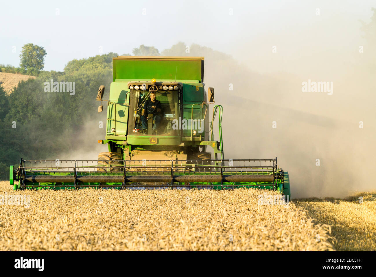 Moissonneuse-batteuse, la récolte d'un champ de blé à Burton Joyce dans le Nottinghamshire, Angleterre, RU Banque D'Images