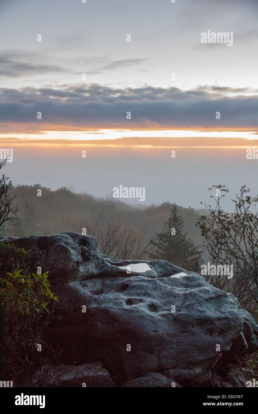 Un affleurement rocheux dans la région de West Virginia's Dolly Sods Région sauvage. Banque D'Images