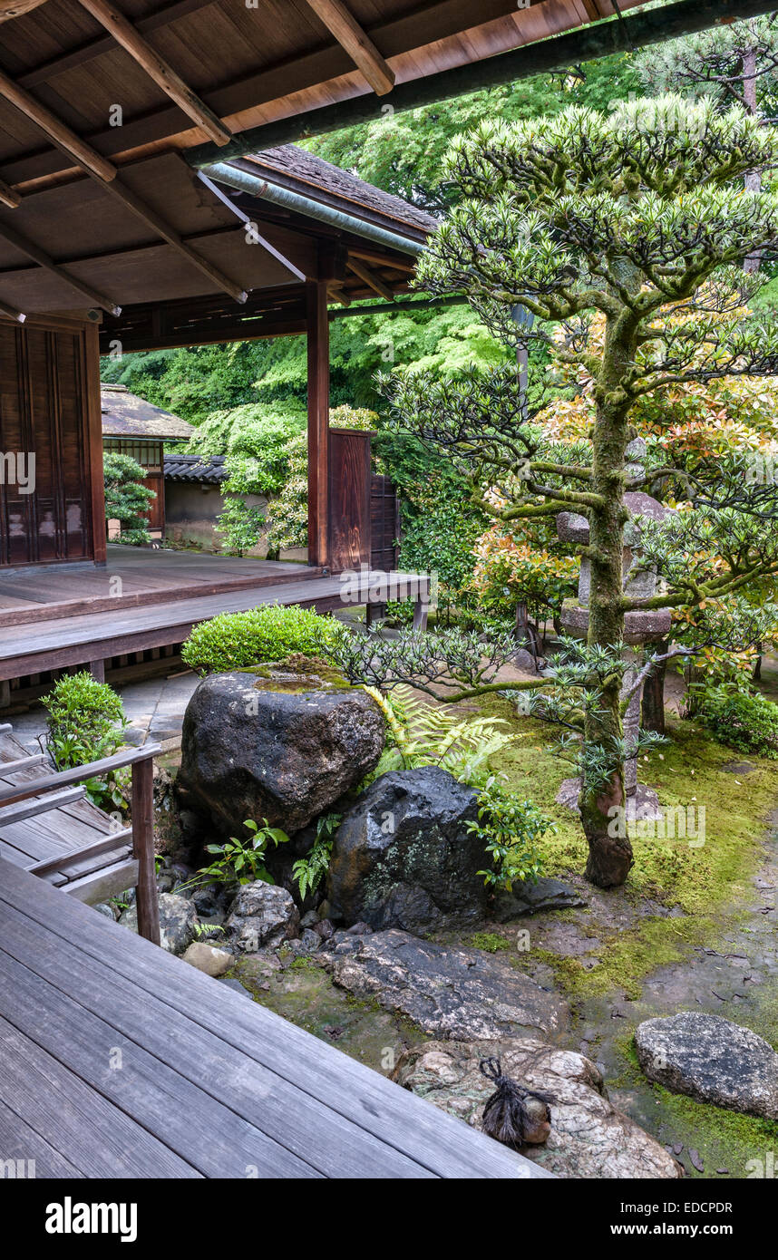 Shinju-un temple zen, Temple Daitoku-ji, Kyoto. Un coin du jardin de thé avec stepping stones et un bassin d'eau en pierre (tsukubai) Banque D'Images