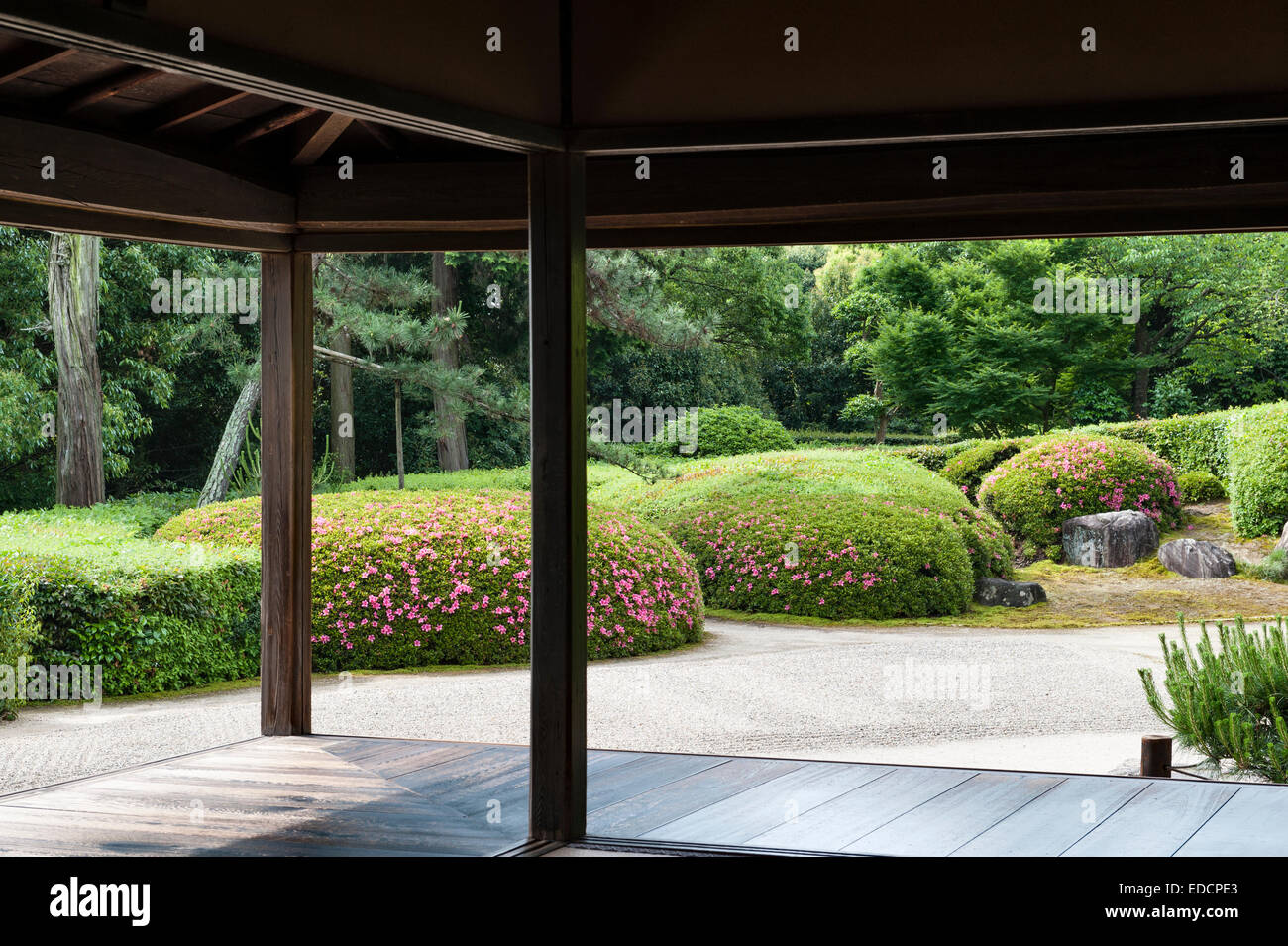Jiko-dans temple zen, Nara, Japon. Le 17c jardin de gravier blanc et azalées taillés autour du shoin (salle de réception) Banque D'Images