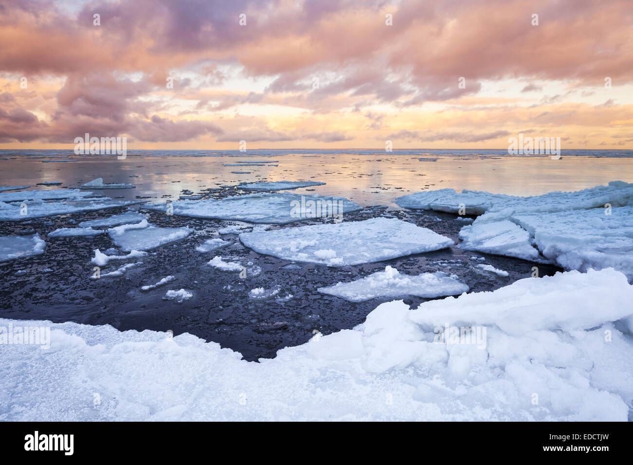 Paysage de mer d'hiver avec de la glace flottante de couleurs vives et ciel nuageux. Golfe de Finlande, Russie Banque D'Images