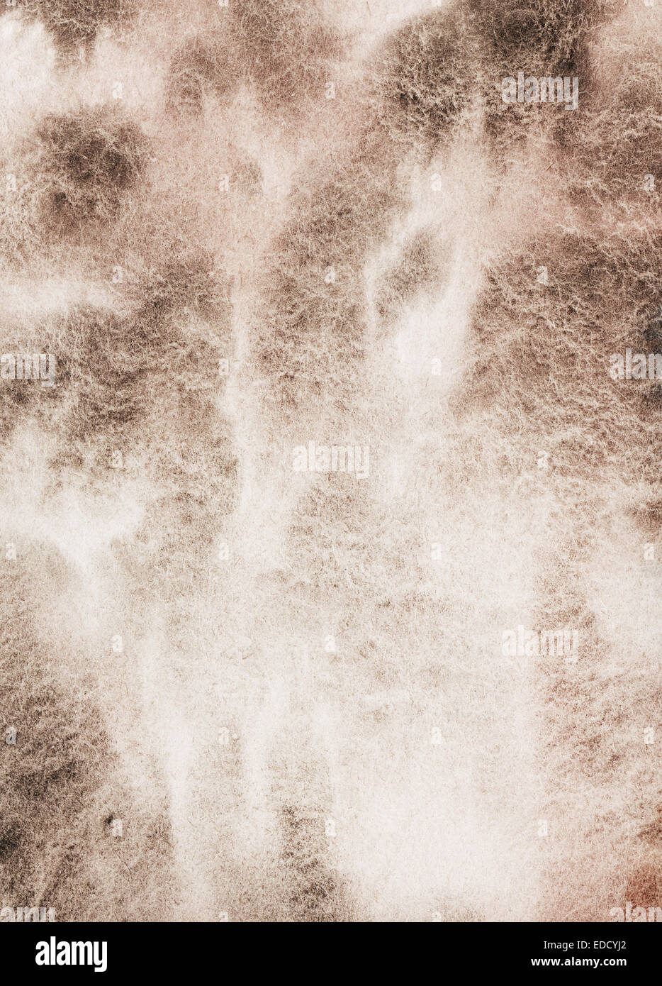 Les taches d'aquarelle brown grunge. Banque D'Images