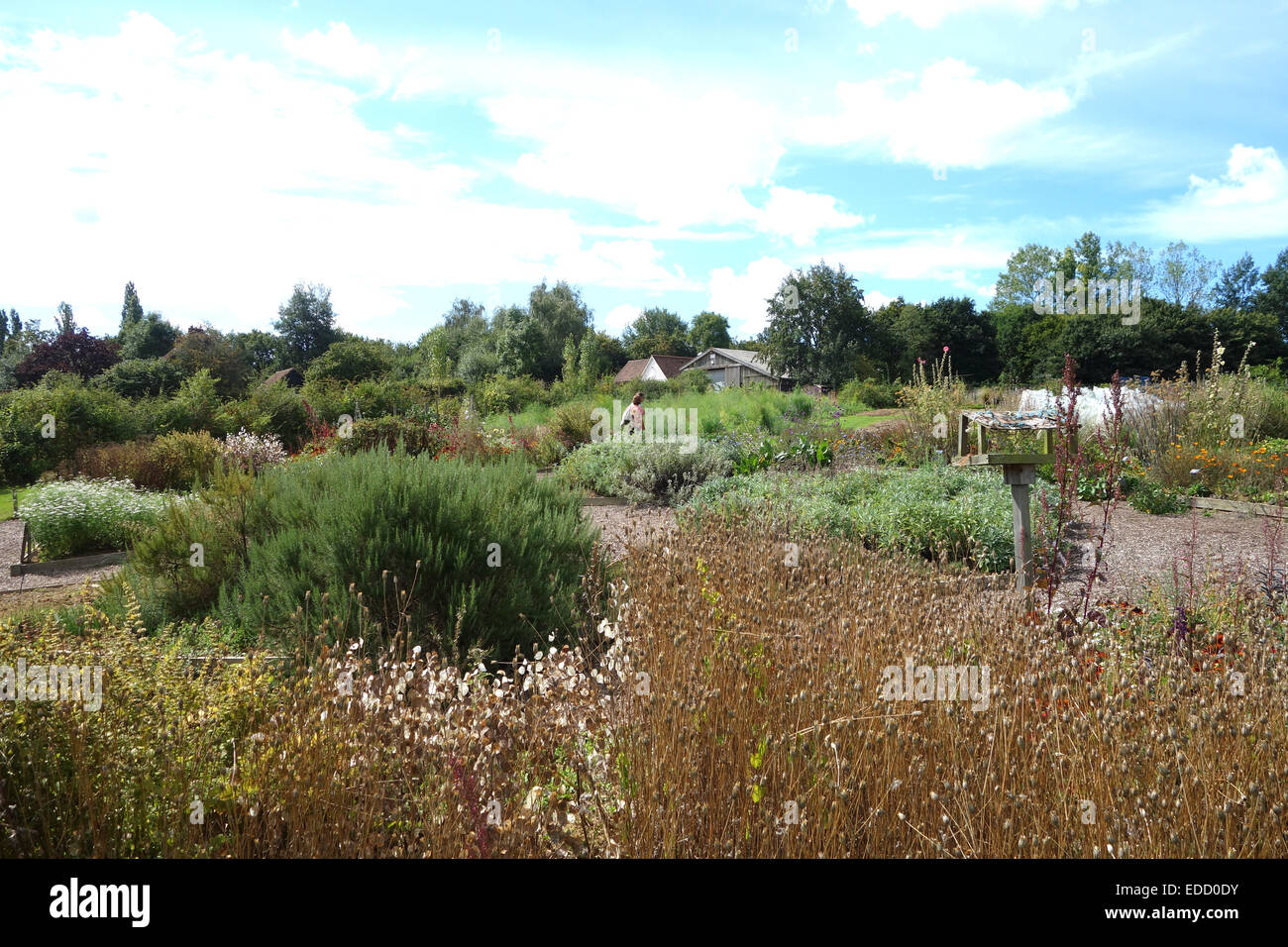 Le jardin du château de Sissinghurst dans le Weald of Kent, en Angleterre, au village de Sissinghurst est administré et mis à jour par le Natio Banque D'Images