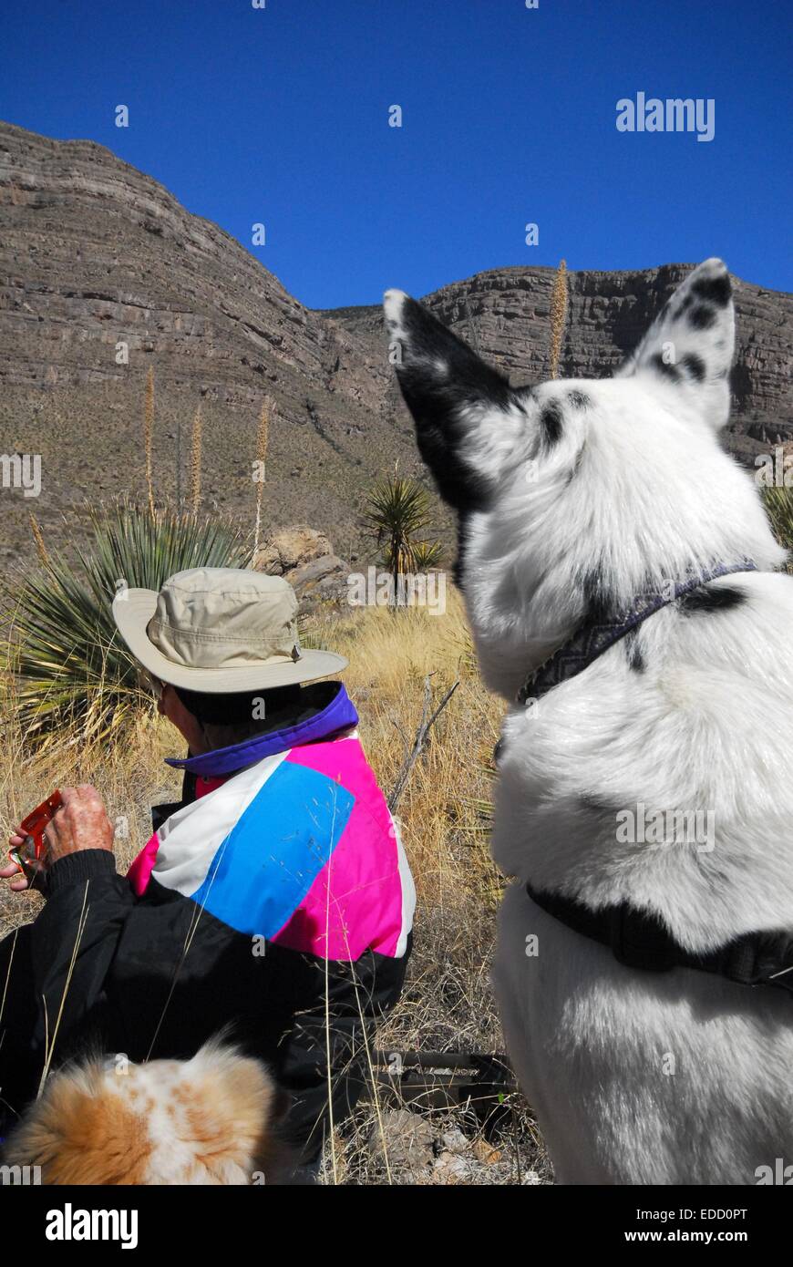 Faire une pause le long sentier dans Oliver Lee State Park, Nouveau Mexique - USA Banque D'Images