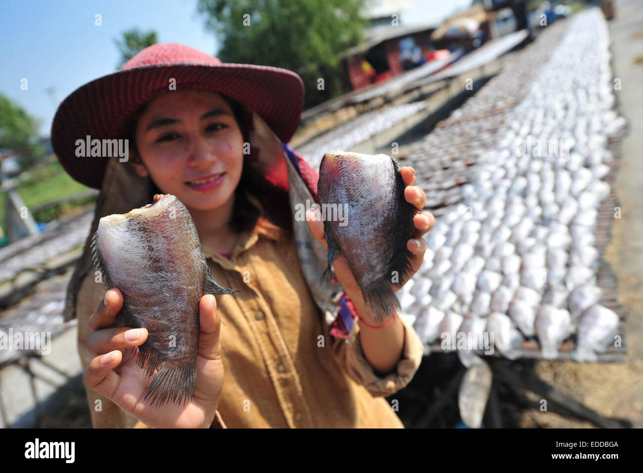 Bangkok, Thaïlande. 6 janvier, 2015. Un vender prépare le poisson pour sécher de Bang Bo de district près de Bangkok, Thaïlande, le 6 janvier 2015. © Sageamsak Rachen/Xinhua/Alamy Live News Banque D'Images