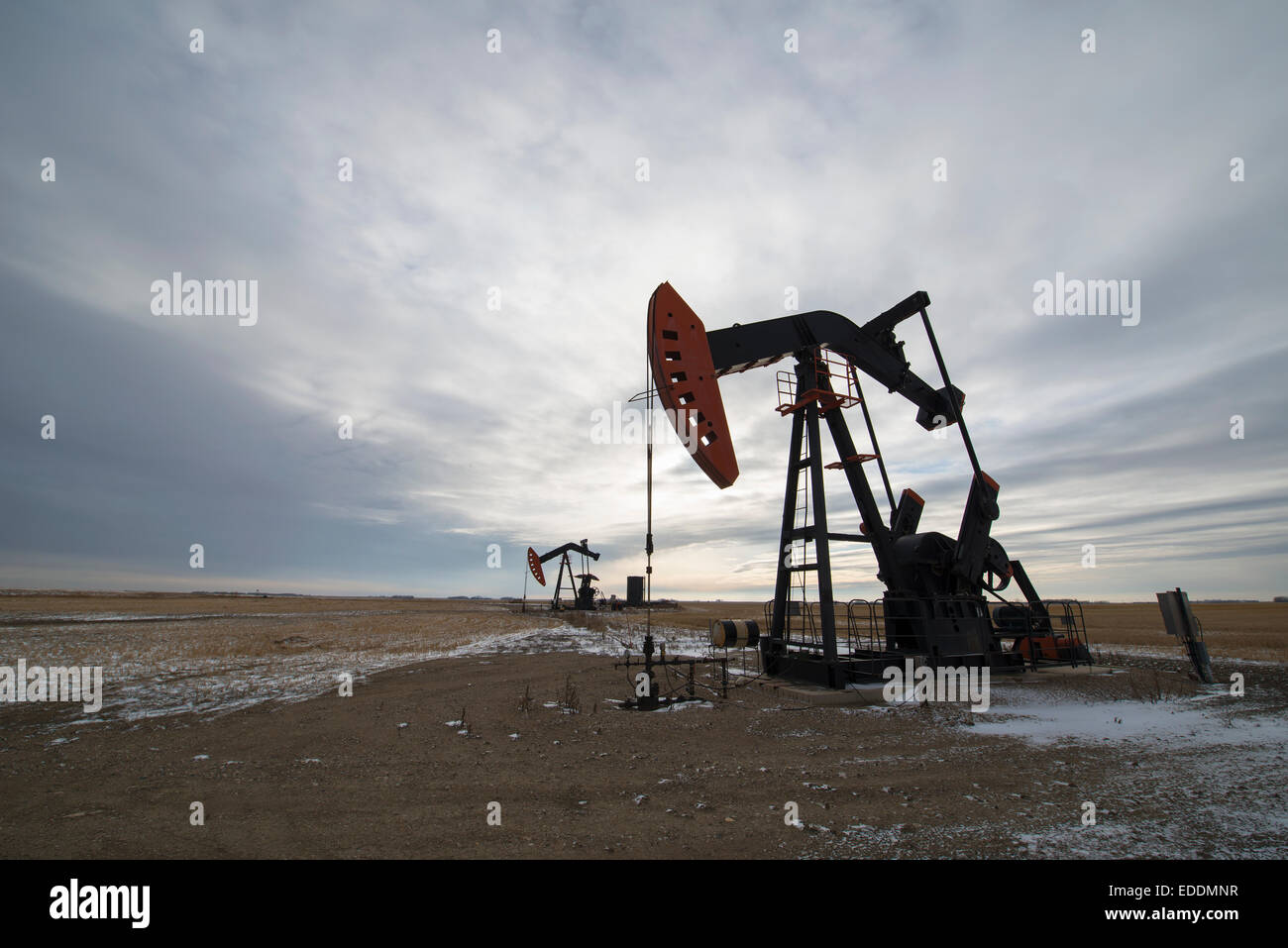 Une pompe à huile jack à un site de forage pour le pétrole, un champ de pétrole en Saskatchewan. Banque D'Images