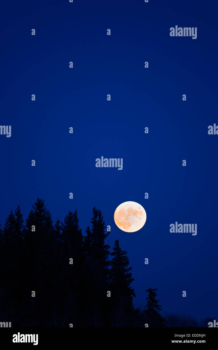 Une pleine lune dans un ciel bleu foncé. Banque D'Images