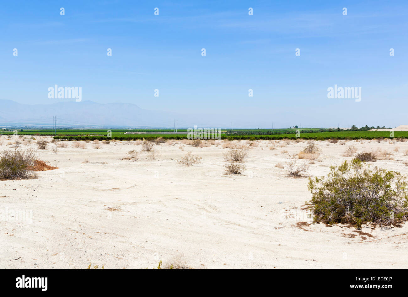 Le contraste entre le désert et les terres agricoles irriguées de la Vallée impériale, Imperial County, Californie, USA Banque D'Images