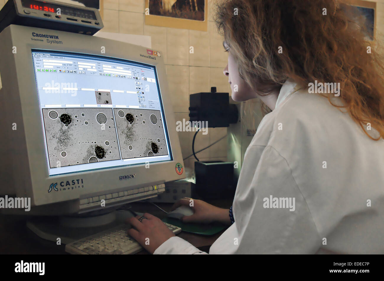 L'Université de Milan (Italie), département de biologie et de la génétique, l'analyse des chromosomes Banque D'Images