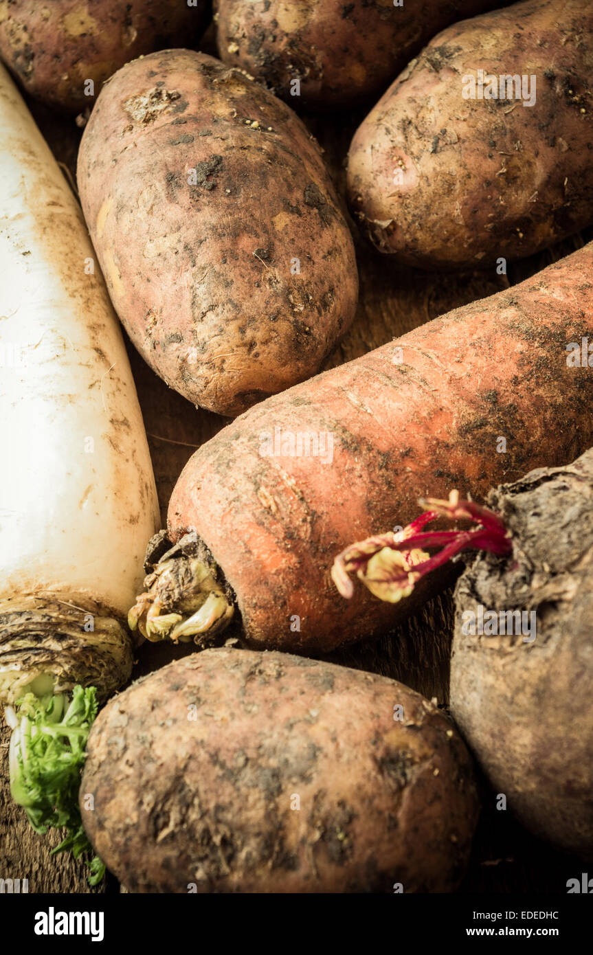 Légumes : pommes de terre, carottes, radis daikon, betterave. Des cultures agricoles pour l'arrière-plan. Banque D'Images