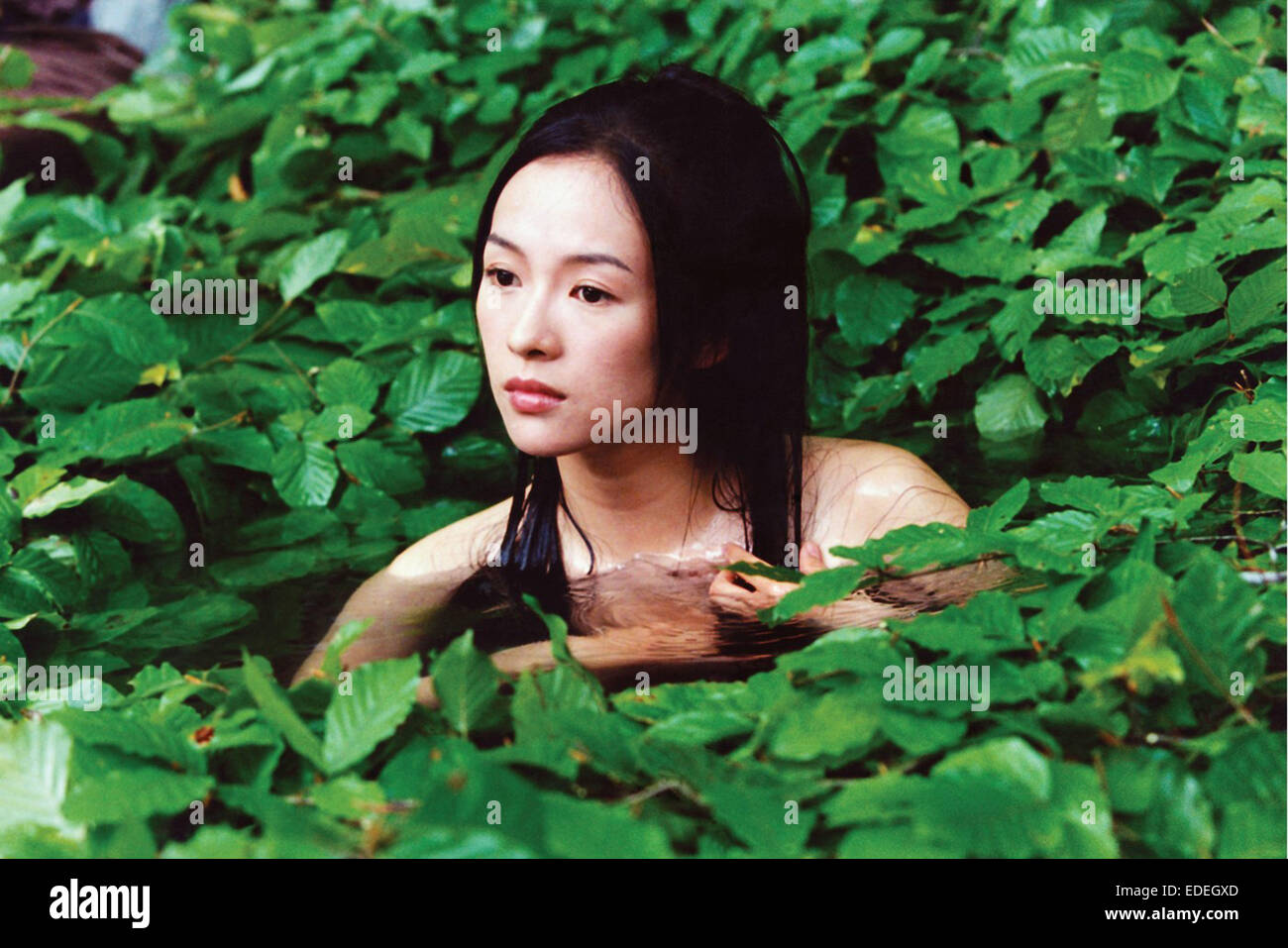 HOUSE OF FLYING DAGGERS (2004) Ziyi Zhang Yimou ZHANG (DIR) COLLECTION MOVIESTORE LTD Banque D'Images