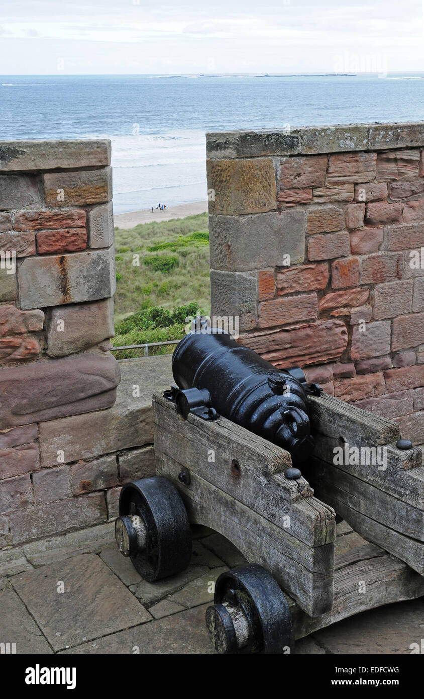 Sur les remparts du château de Bamburgh Canon. Iles Farne au-delà. Banque D'Images