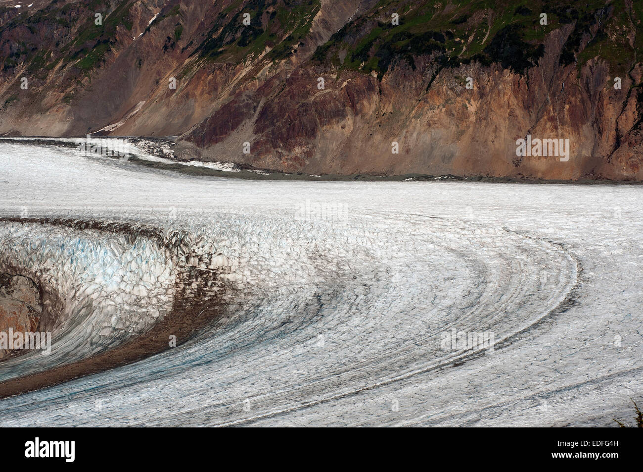 Glacier du saumon de l'Alaska à Hyder Banque D'Images