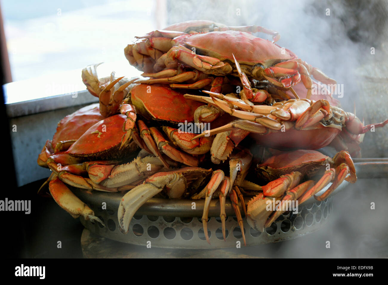 FISHERMANS WHARF CRAB Dungeness crabes à Fisherman's Wharf Grotto Embarcadero San Francisco California USA Banque D'Images