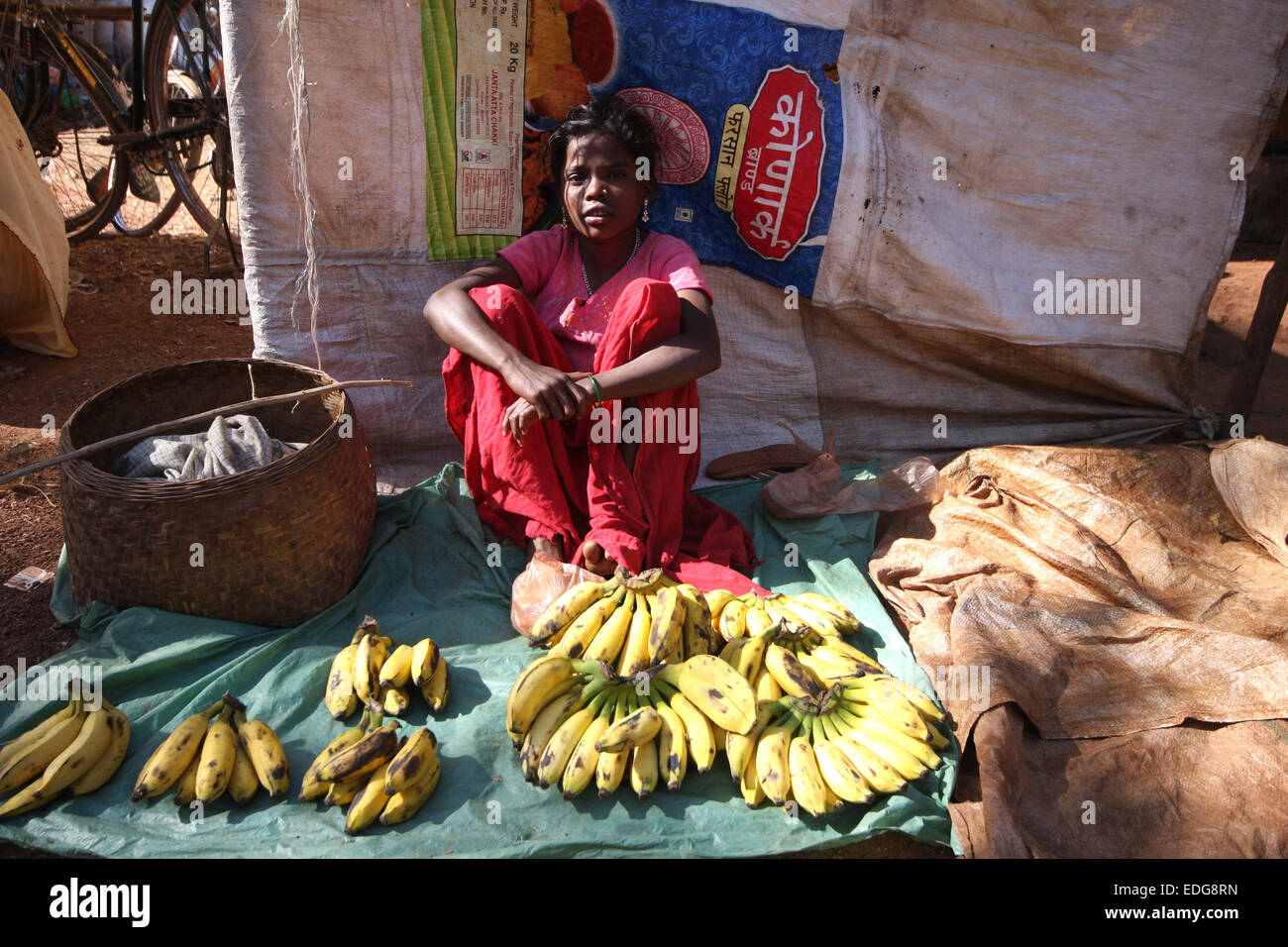 Marchande de bananes au marché en Jaitgiri village, Chhattisgarh, Inde centrale Banque D'Images