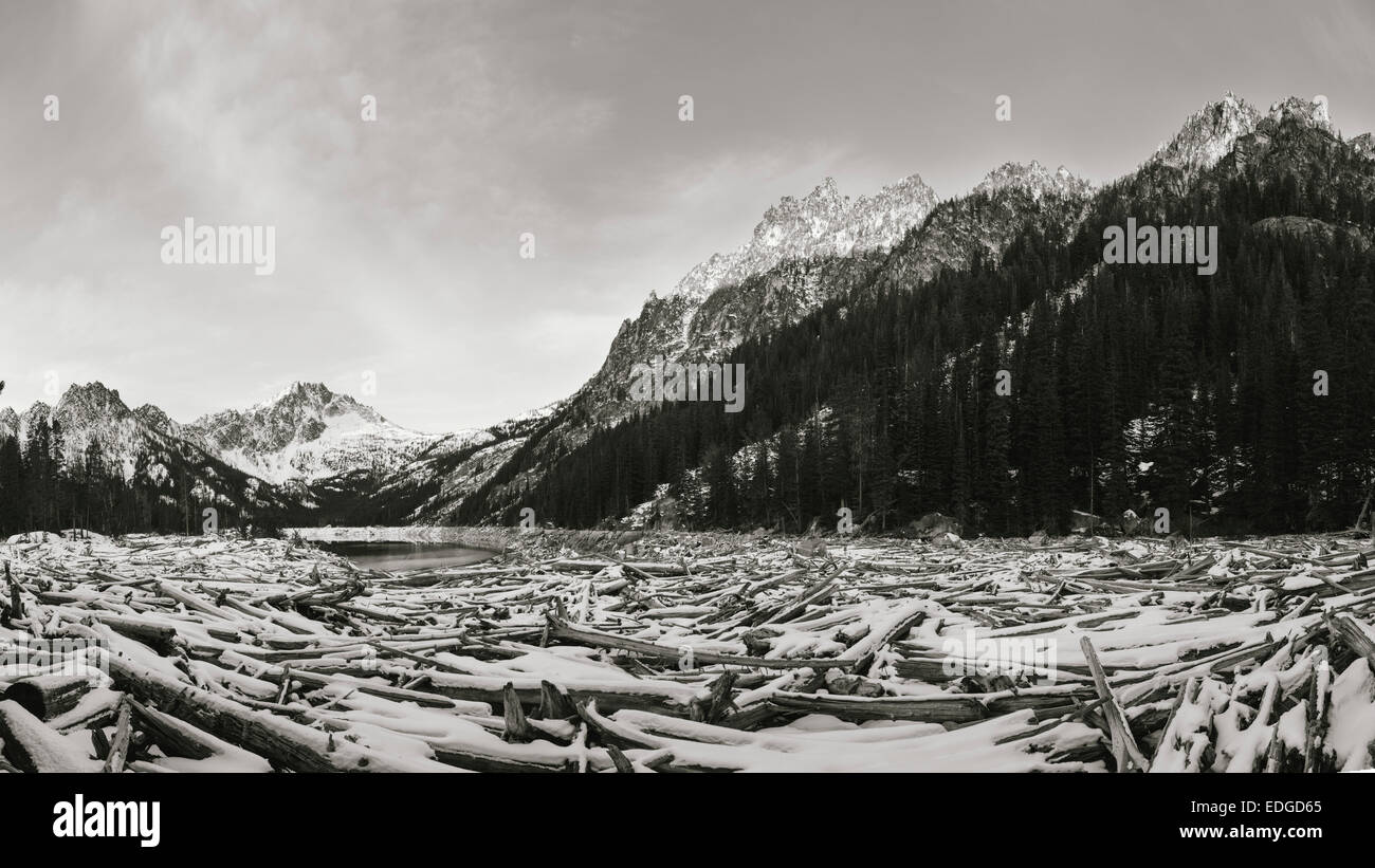 Les piles de bois flotté au-dessous d'une montagne à l'Enchantement Lacs Banque D'Images