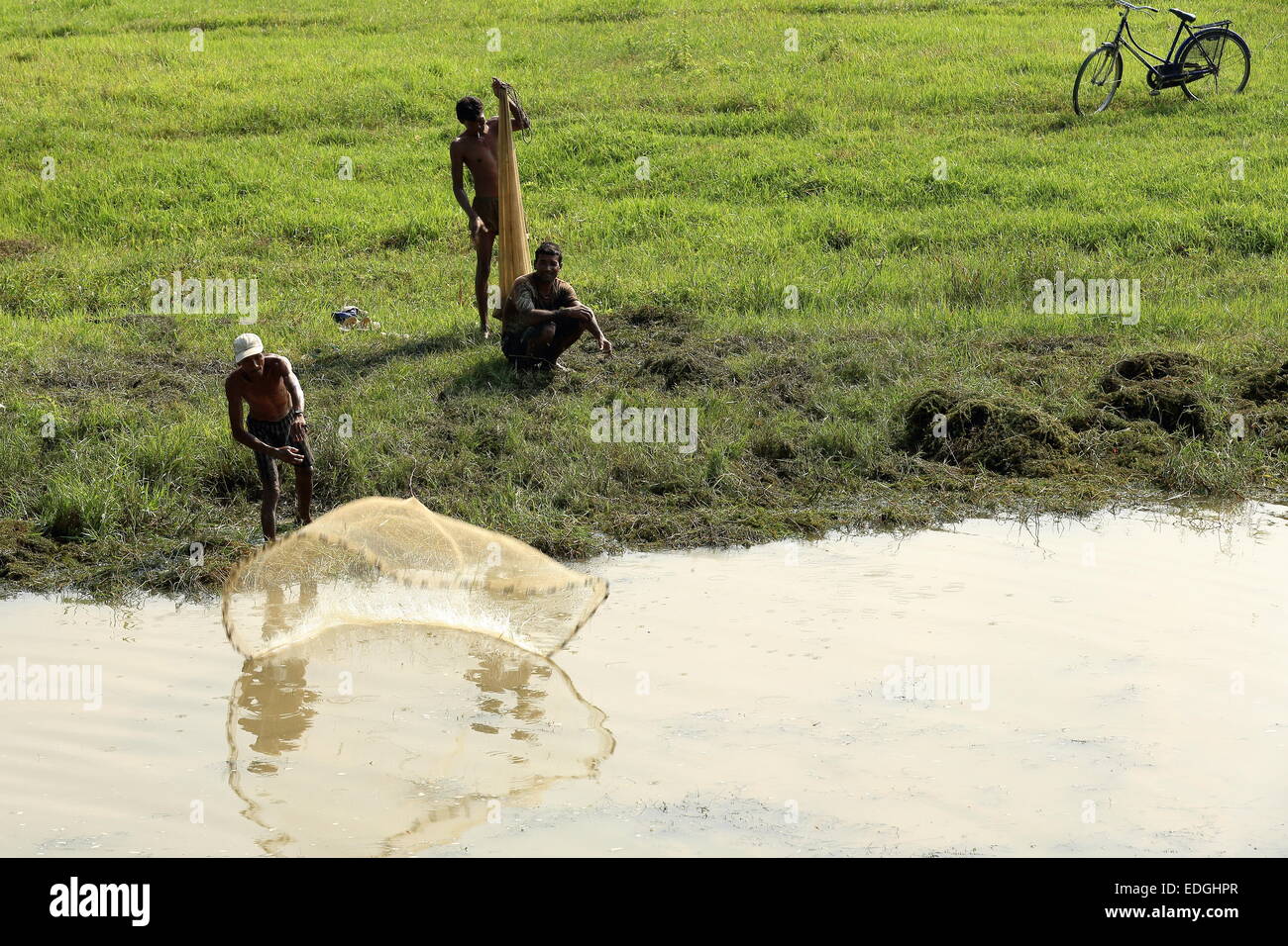 CHITWAN, NÉPAL - 14 OCTOBRE : le pêcheur local lance un épervier pour la pêche dans un étang à côté de la rivière du Teraï sur octobre 14,2012 Banque D'Images