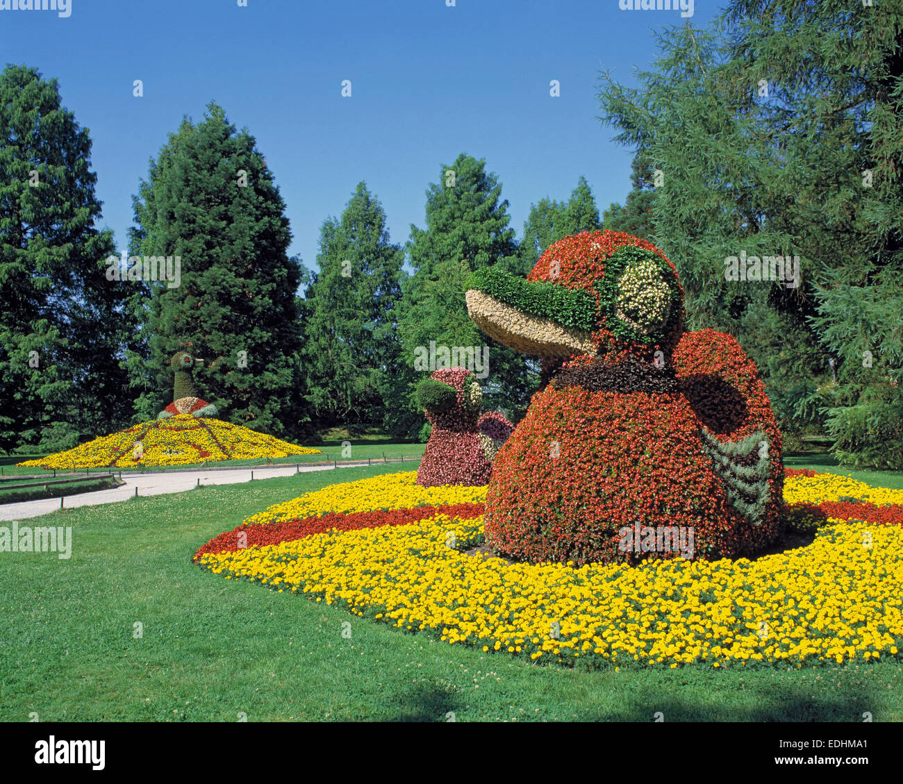 Blumenpfau Blumenenten Tierdarstellungen und, dans Blumenform Bodenseeinsel im Park der Mainau dans Bade-wurtemberg Banque D'Images Blumenpfau Blumenenten Tierdarstellungen und, dans Blumenform Bodenseeinsel im Park der Mainau dans Bade-wurtemberg Banque D'Images