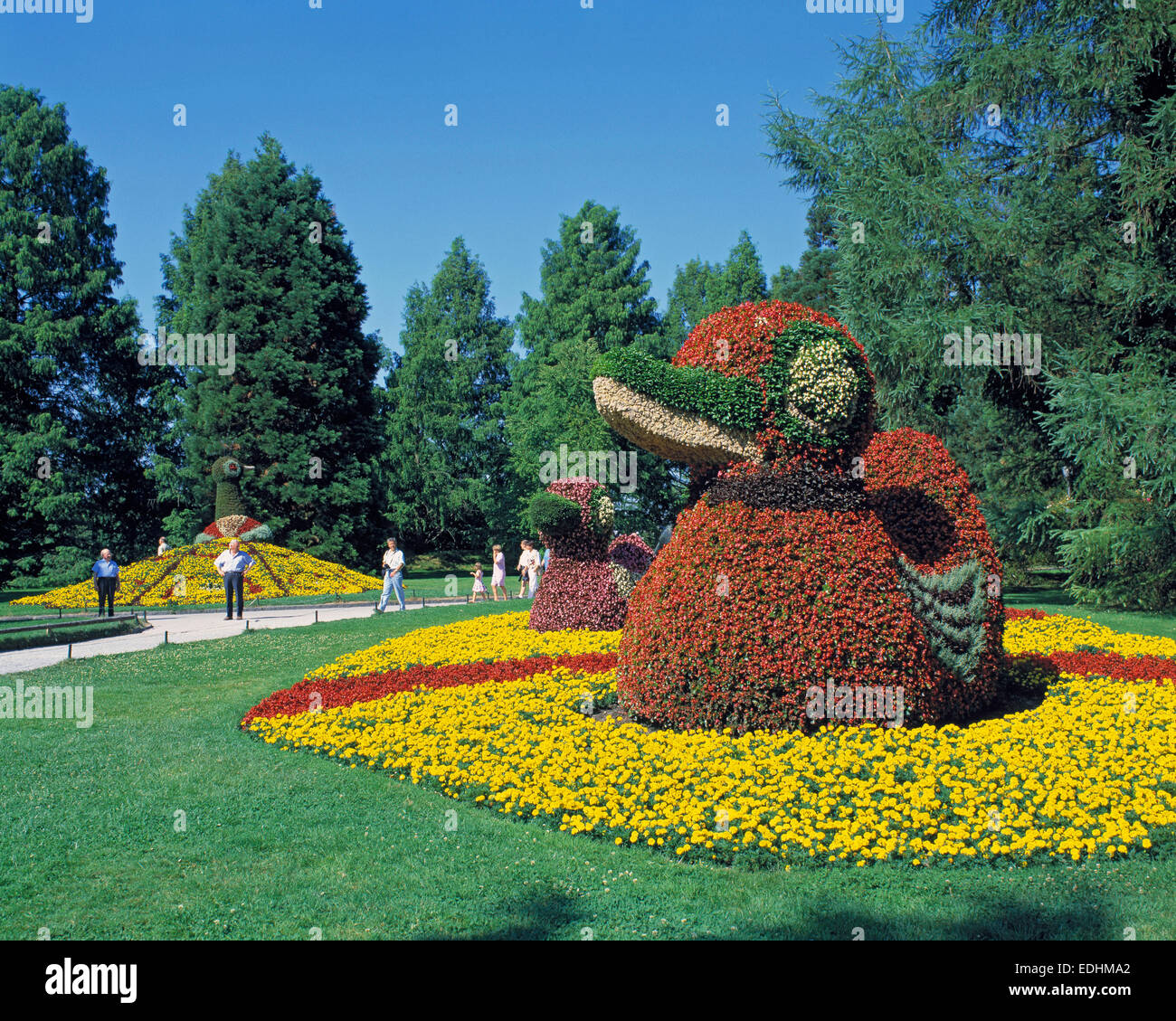 Blumenpfau Blumenenten Tierdarstellungen und, dans Blumenform Bodenseeinsel im Park der Mainau dans Bade-wurtemberg Banque D'Images Blumenpfau Blumenenten Tierdarstellungen und, dans Blumenform Bodenseeinsel im Park der Mainau dans Bade-wurtemberg Banque D'Images