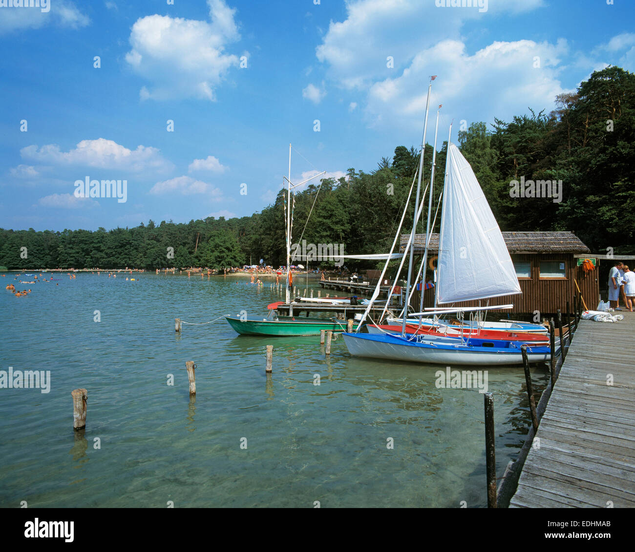 Grosser Stechlinsee dans der Mecklenburger Mecklembourgeoise bei Stechlin-Neuglobsow, Brandebourg, Anlegeplatz fuer Segelboote Banque D'Images