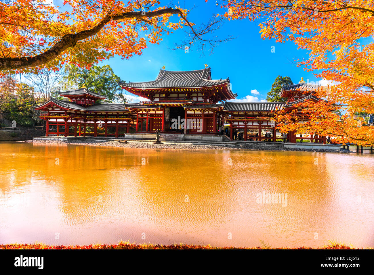 Temple Byodo-in. Kyoto, Japon. Banque D'Images