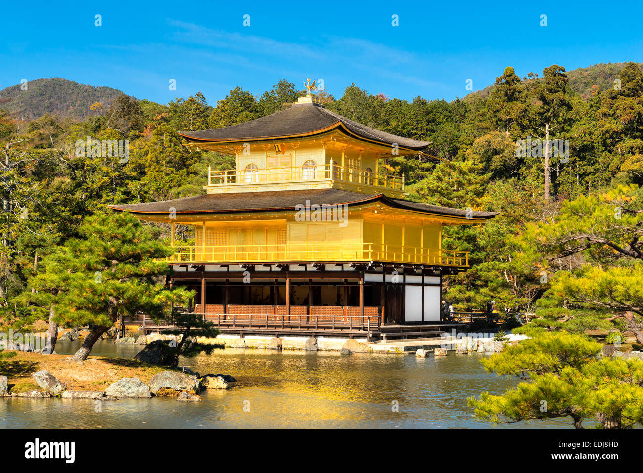 Kinkakuji (Pavillon d'or),un temple Zen au nord de Kyoto, Japon. Banque D'Images