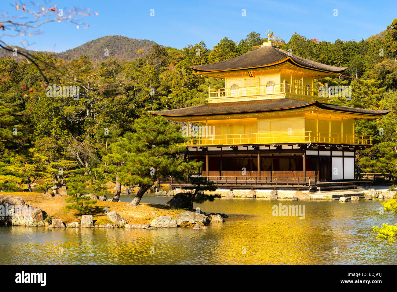 Kinkakuji (Pavillon d'or),un temple Zen au nord de Kyoto, Japon. Banque D'Images