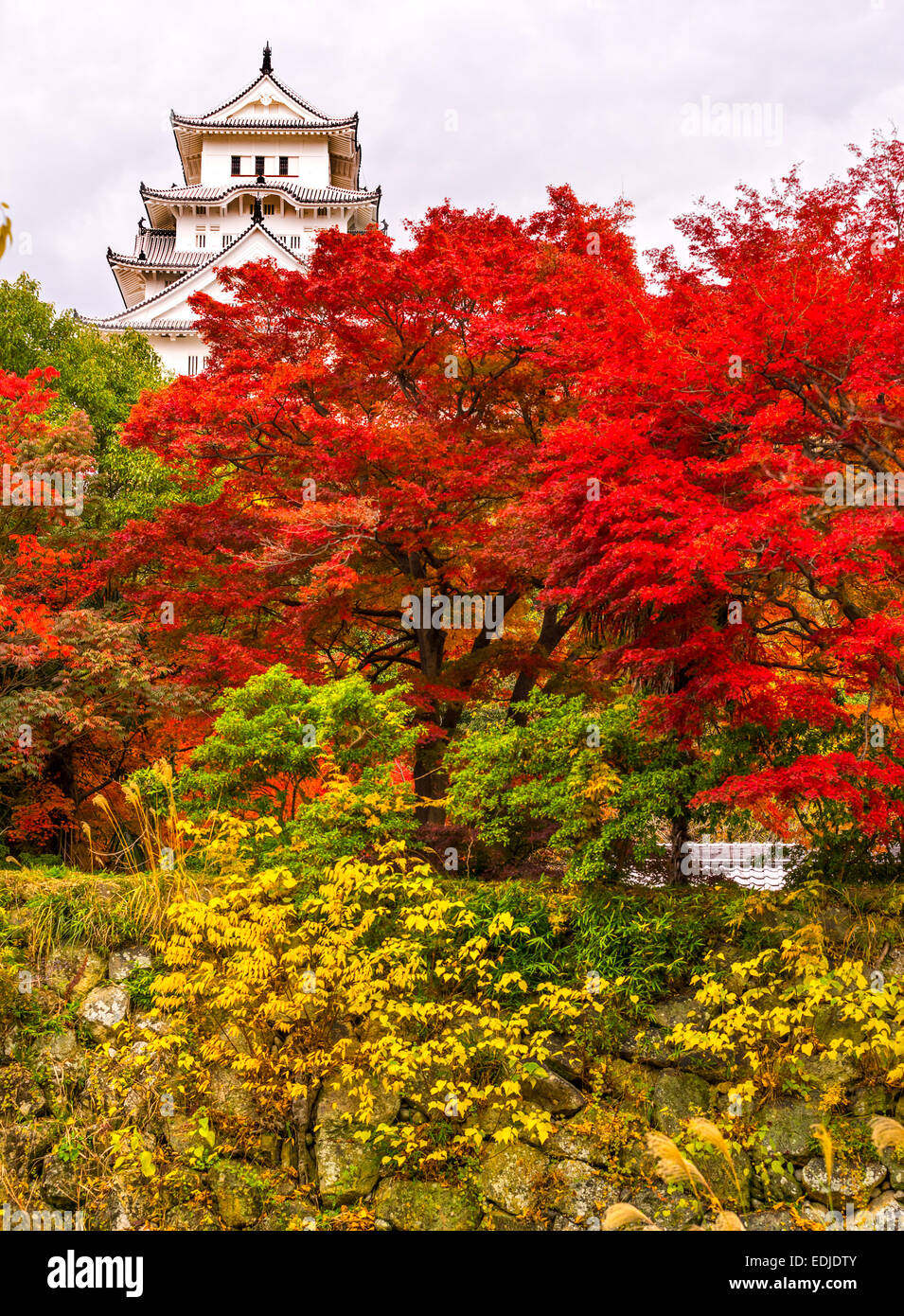 Château de Himeji, aussi appelé château du héron blanc, en automne, au Japon. Banque D'Images