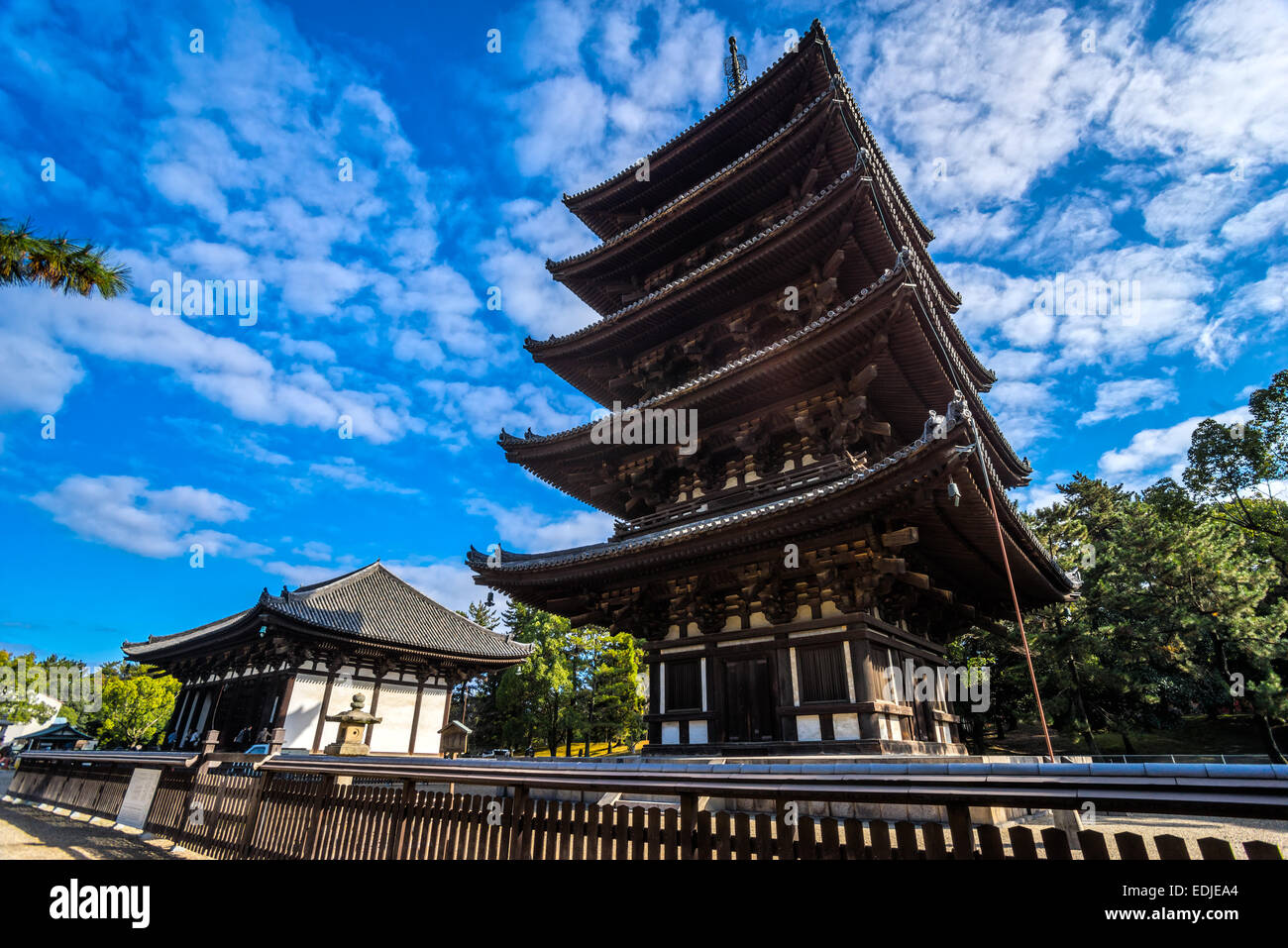 La tour de bois Kofuku-ji à Nara, au Japon. L'un des huit sites du patrimoine mondial de l'Unesco dans la région de Nara. Banque D'Images