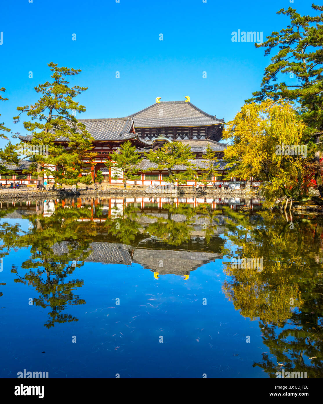 Temple Todai-ji en automne, Nara, Japon. Banque D'Images