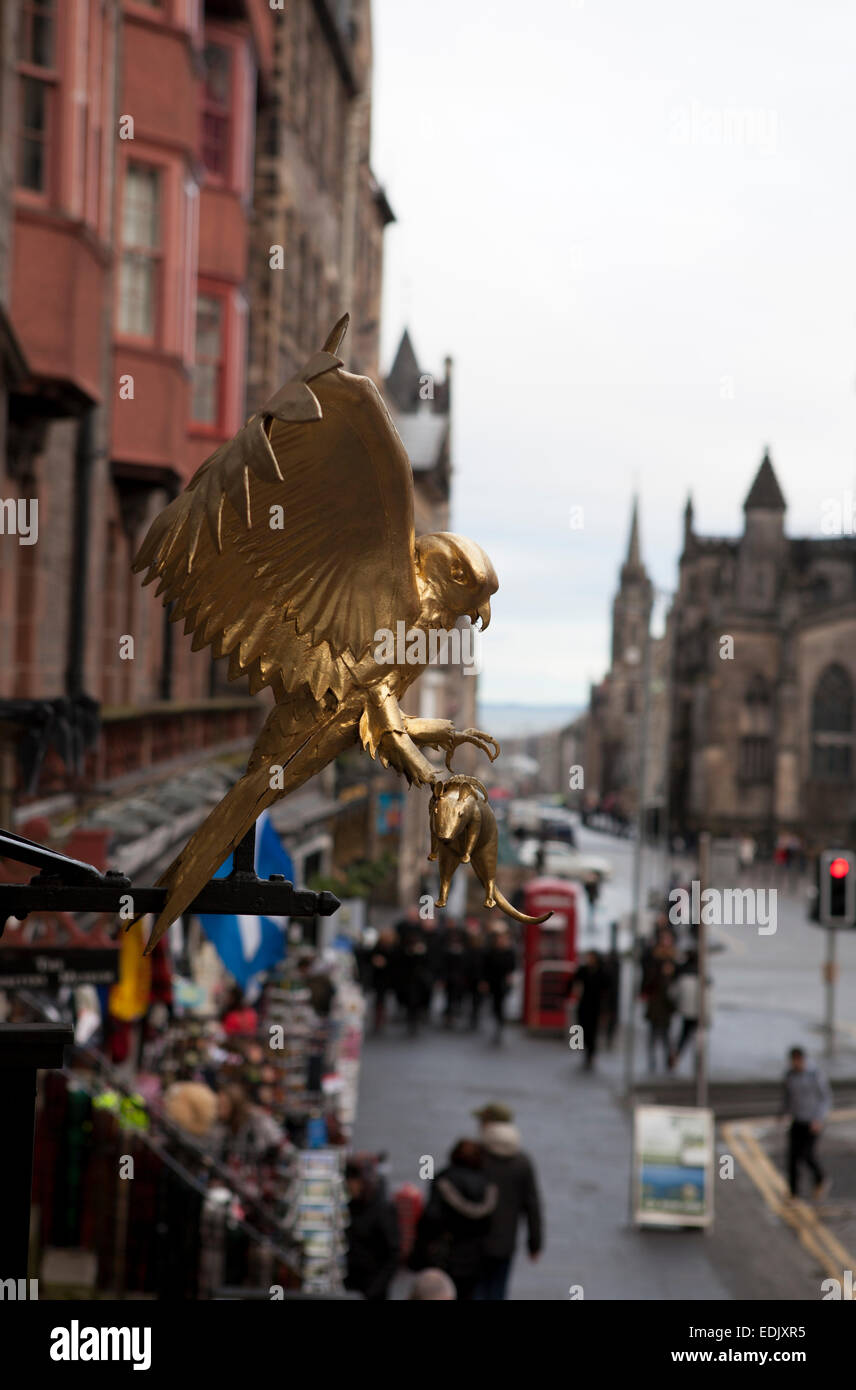 Doré or oiseau de proie en vol stationnaire au-dessus de l'entrée de la 17e siècle maison marchand terre Gladstone sur le Royal Mile d'Édimbourg. Banque D'Images