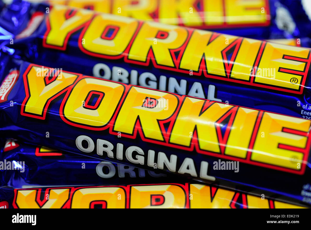 Yorkie barre Banque D'Images