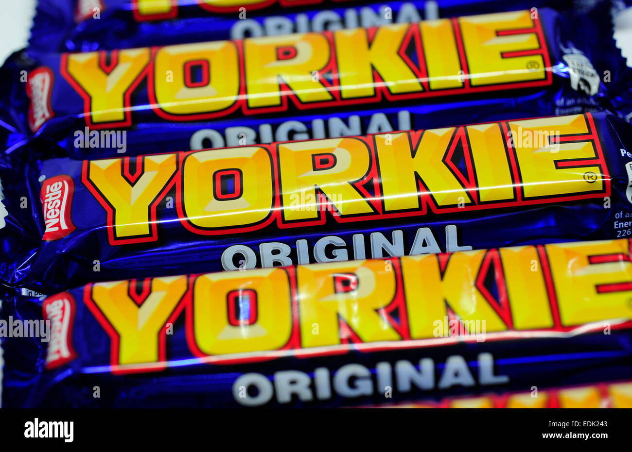 Yorkie barre Banque D'Images