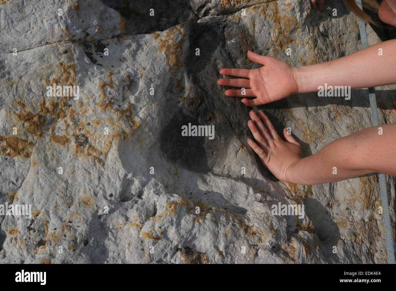 Les enfants à la recherche de fossiles de dinosaures au Colorado Dinosaur Ridge Banque D'Images