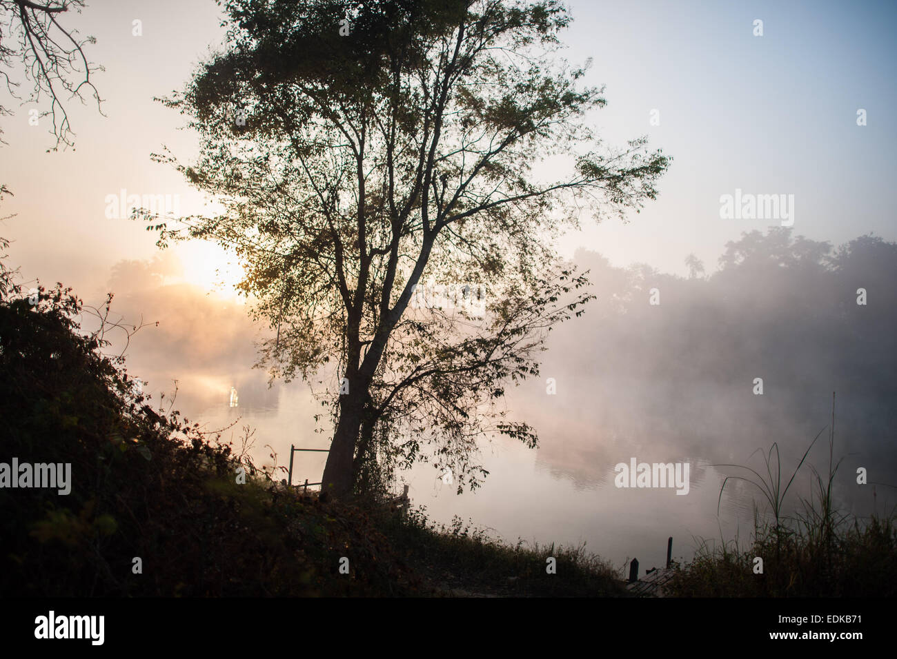 Silhouette d'arbre à l'aube et le matin brume sur la rivière Nam Pilu Banque D'Images