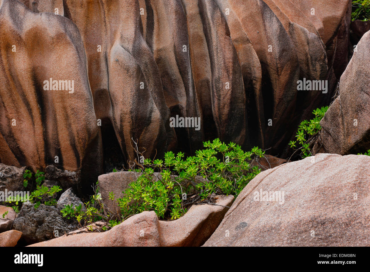 Seychelles, célèbres rochers de granit, La Digue Banque D'Images