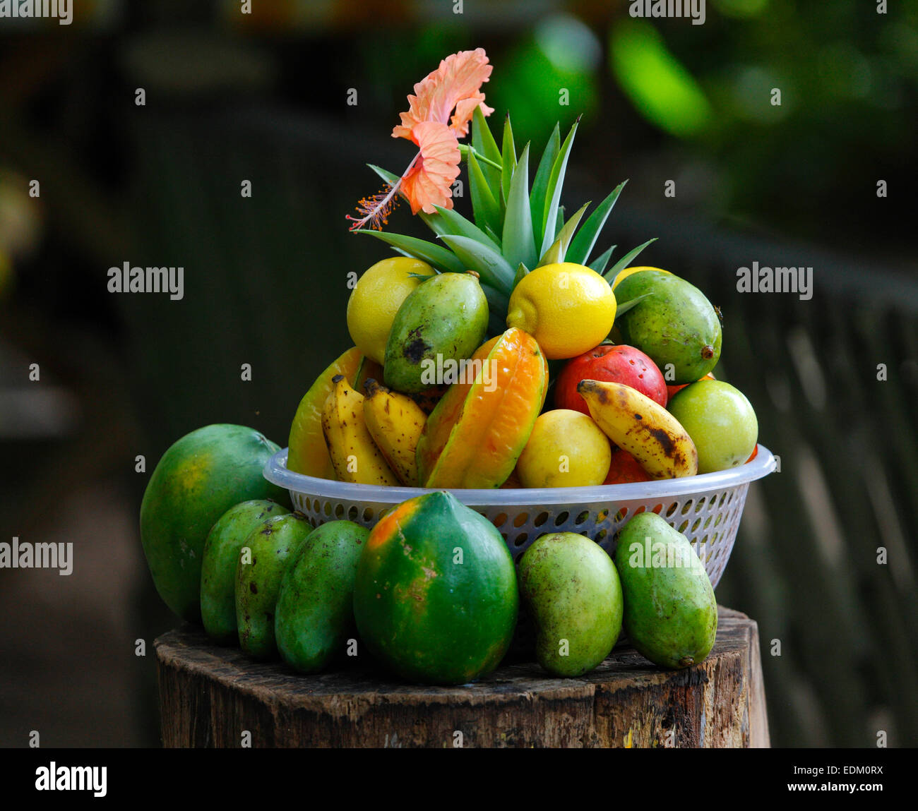 Les fruits tropicaux, les Seychelles, l'île de La Digue Banque D'Images