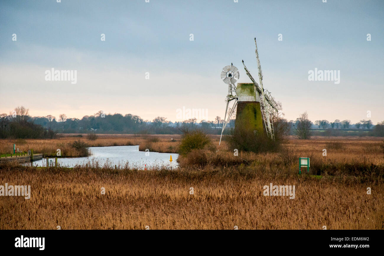 Turf Fen Moulin, Barton Turf Norwich Norfolk Angleterre UK Banque D'Images