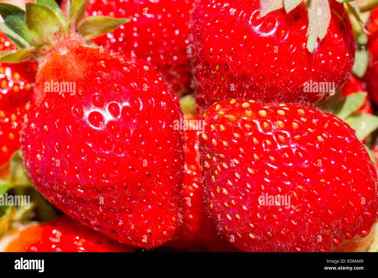 Libre d'un tas de fraises. Banque D'Images