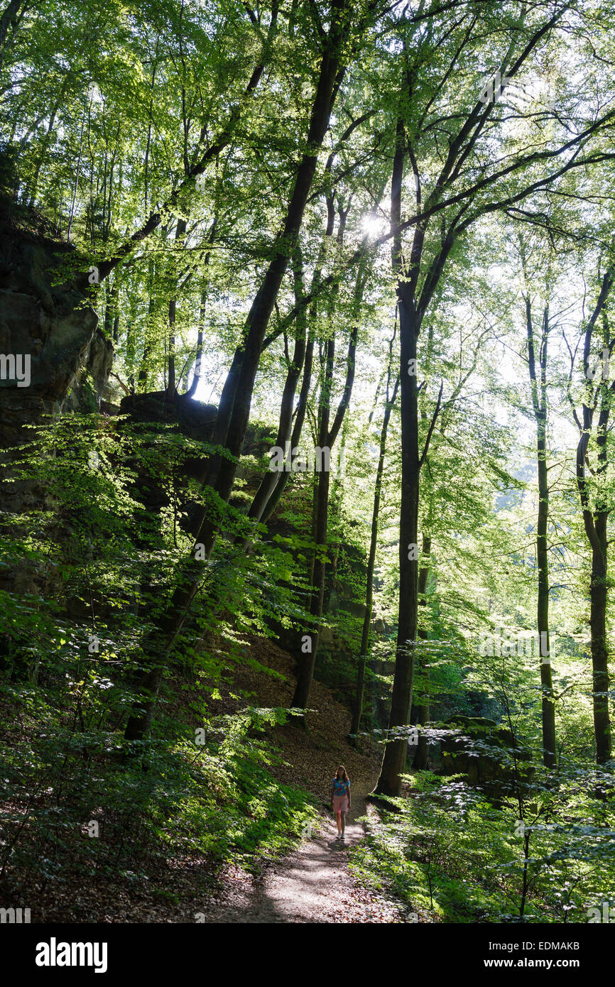 Mullerthal Trail près de Steinsel, Luxembourg Banque D'Images