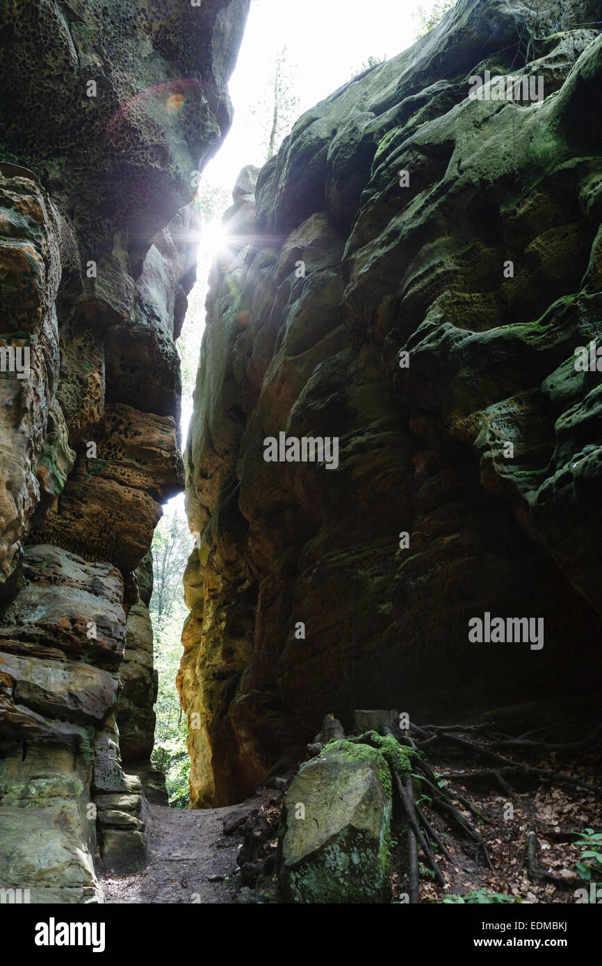 Mullerthal Trail près de Steinsel, Luxembourg Banque D'Images