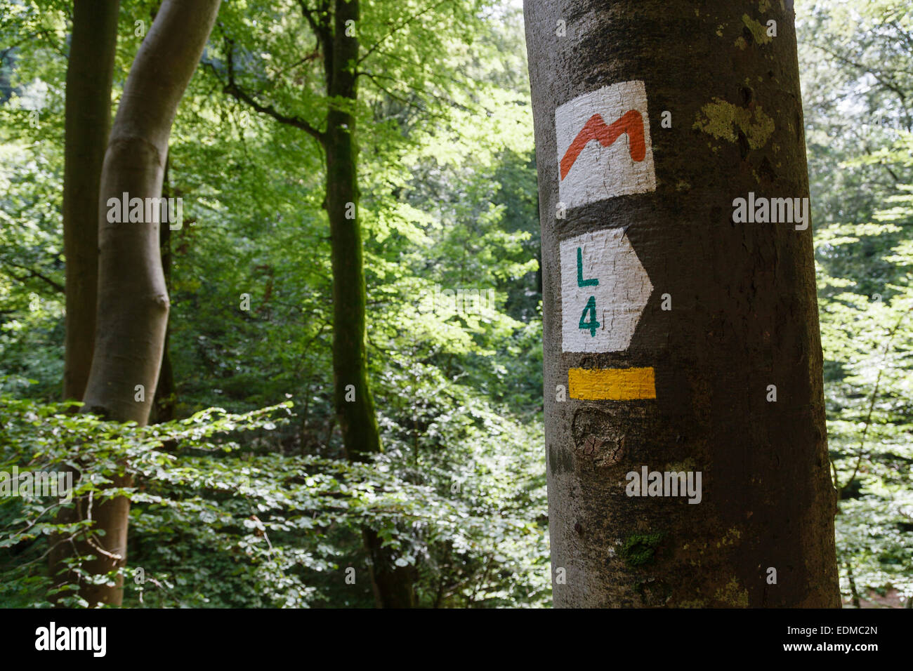 Panneau de signalisation sur le Mullerthal Trail près de Steinsel, Luxembourg Banque D'Images