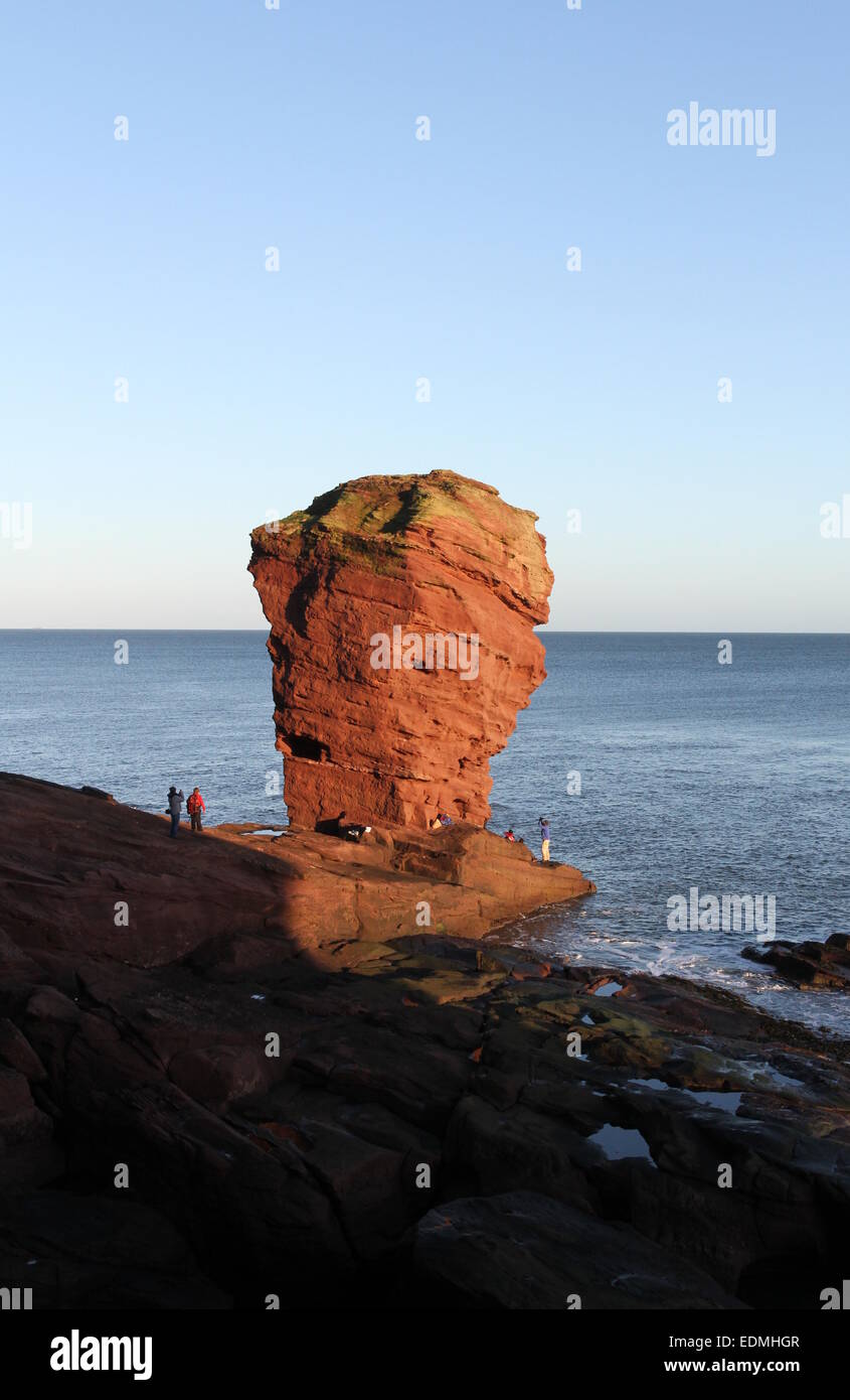 Deil's heid pile mer près de arbroath angus scotland mars 2015 Banque D'Images