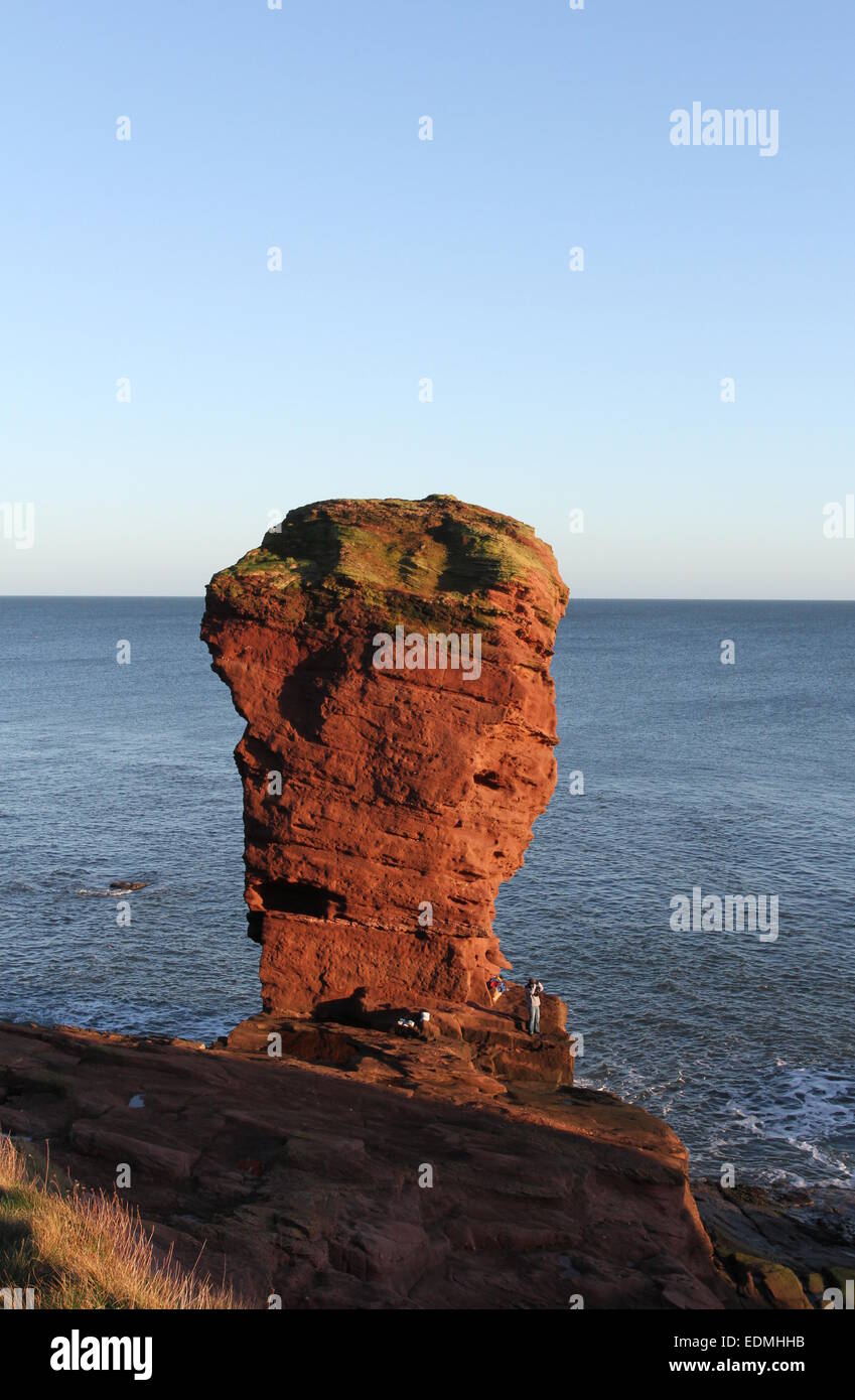 Deil's heid pile mer près de arbroath angus scotland mars 2015 Banque D'Images